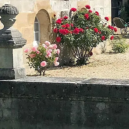 Chateau De 4* Vitry-la-Ville